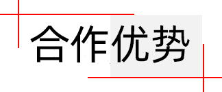 合作優(yōu)勢